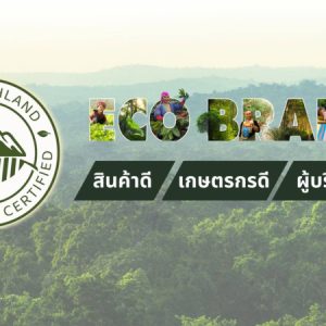 ECO-BRAND กาแฟใต้ร่มไม้ กับภารกิจคืนลมหายใจให้ผืนป่าและผู้คน