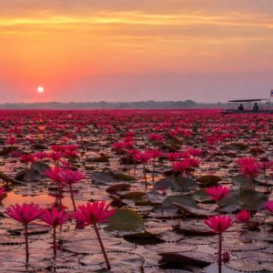 ตามรอยปรากฏการณ์ ‘Lisa Effect’: Traveloka เผยจุดหมายปลายทางในไทยที่กำลังครองใจนักเดินทางทั่วโลกในปี 2569
