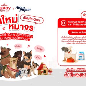Royal Canin ชวนออกเดินทางไปกับ “บ้านใหม่หมาจร” Interactive Quiz บน Instagram